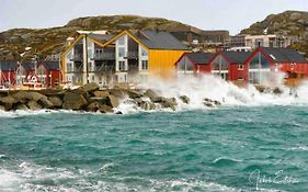 Lofoten seaview